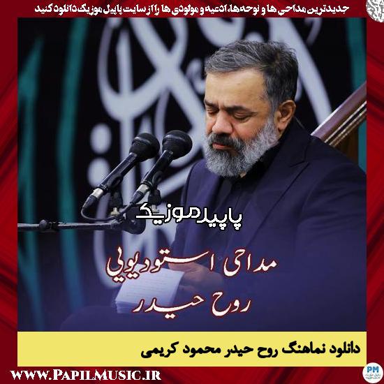 دانلود آهنگ روح حیدر از محمود کریمی